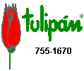 Tulipn